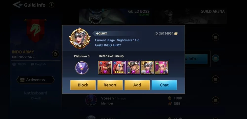 infinite magicraid guild member