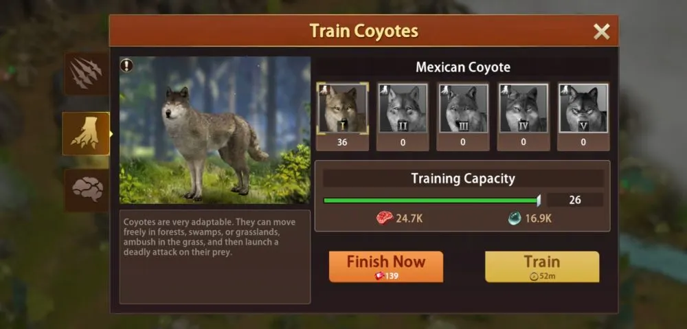 wolf the wild kingdom coyotes