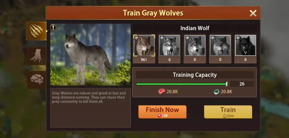 wolf the wild kingdom gray wolves