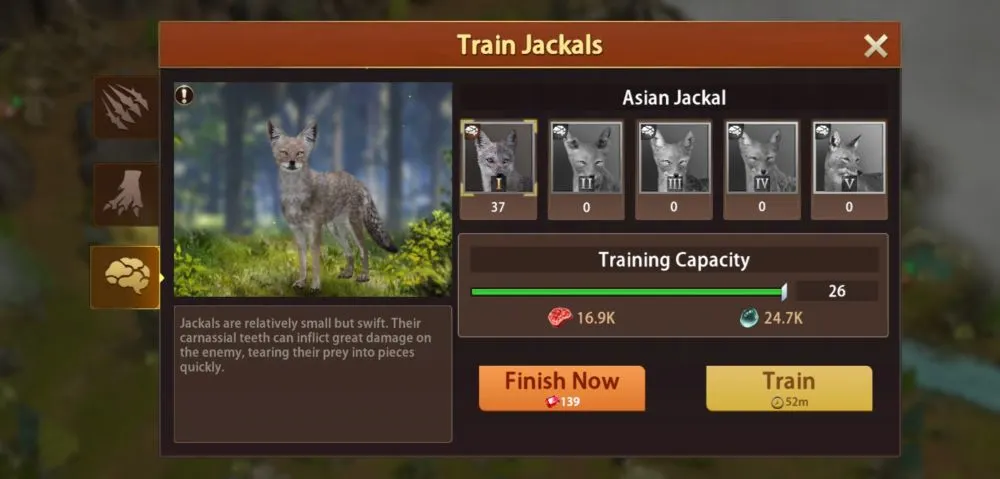 wolf the wild kingdom jackals